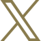 Social Icon 3